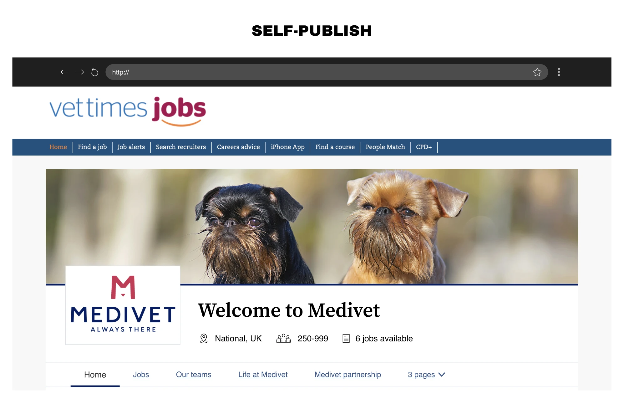 Self-publish — the finished Medivet hub live on the Vet Times Jobs site