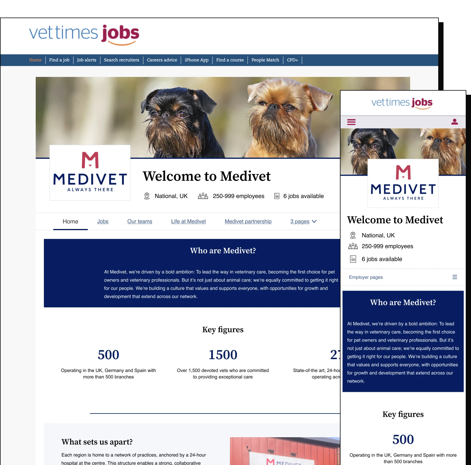 Vet Times employer hub — desktop and mobile preview